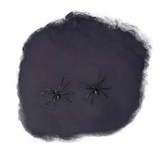 Teia de Aranha Preta