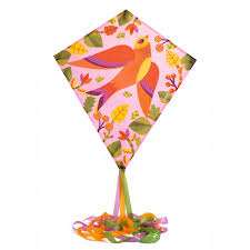 Papagaio com Pássaro