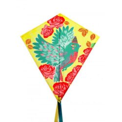 Papagaio com Pássaro