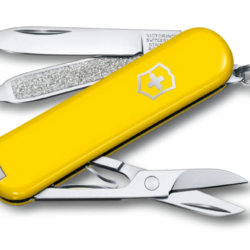 Victorinox Canivete  Classic SD Colors 06223.8G