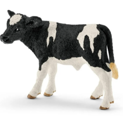 SCHLEISH Vitelo Holstein